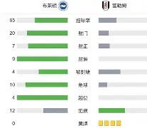 窗口期突围战来临，布莱顿围绕法甲调整名单，媒体盛赞，医务组通报恢复(足球比赛布莱顿最新消息)